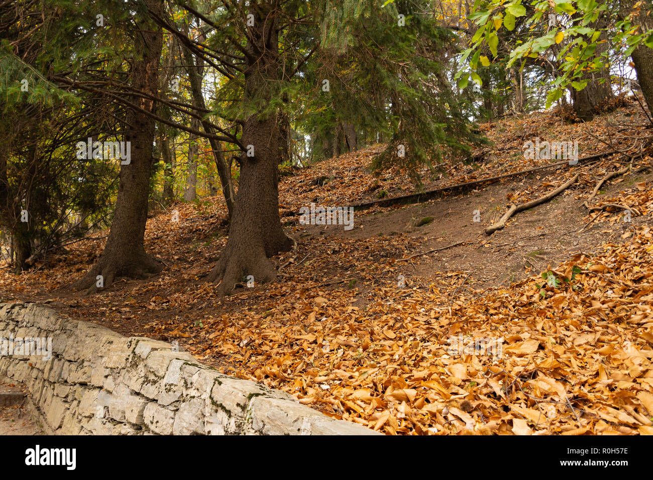 Opinioni su parchi e villaggi di autunno - Blick auf Parks und Herbstdörfer - Viste su parchi e villaggi autunnali Foto Stock