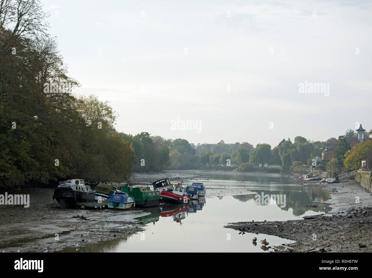 Barche a terra a Twickenham durante l annuale autunno drawoff quando il fiume Tamigi è consentito di raggiungere la sua naturale a basso livello marea Foto Stock