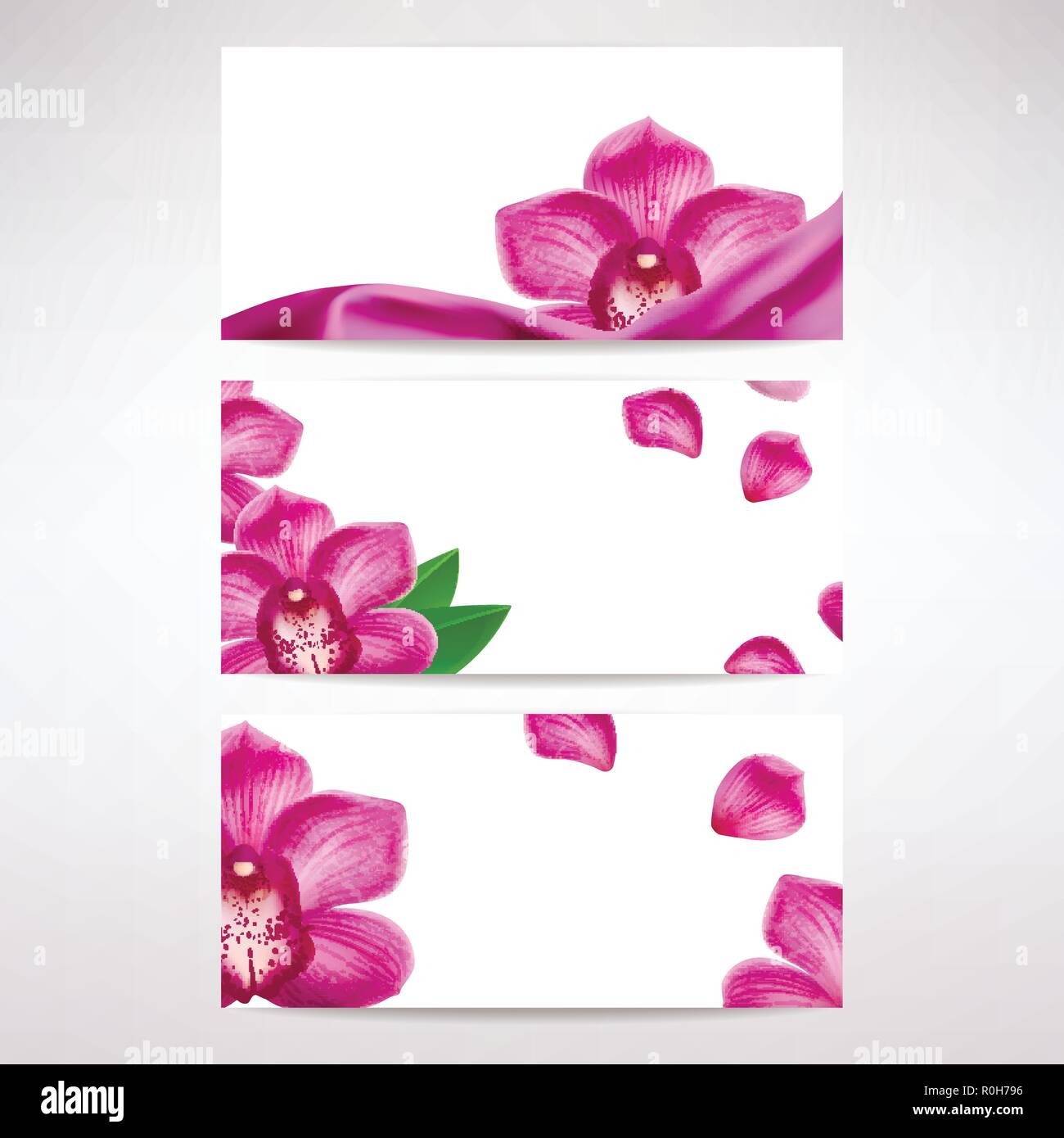 Banner con fiori di orchidea su uno sfondo luminoso Illustrazione Vettoriale