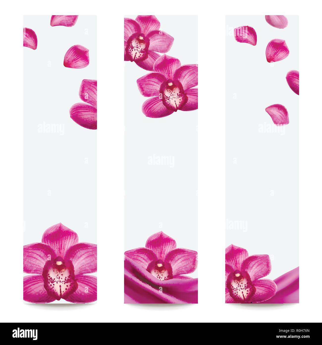 Orchidee viola banner impostato su sfondo bianco Illustrazione Vettoriale