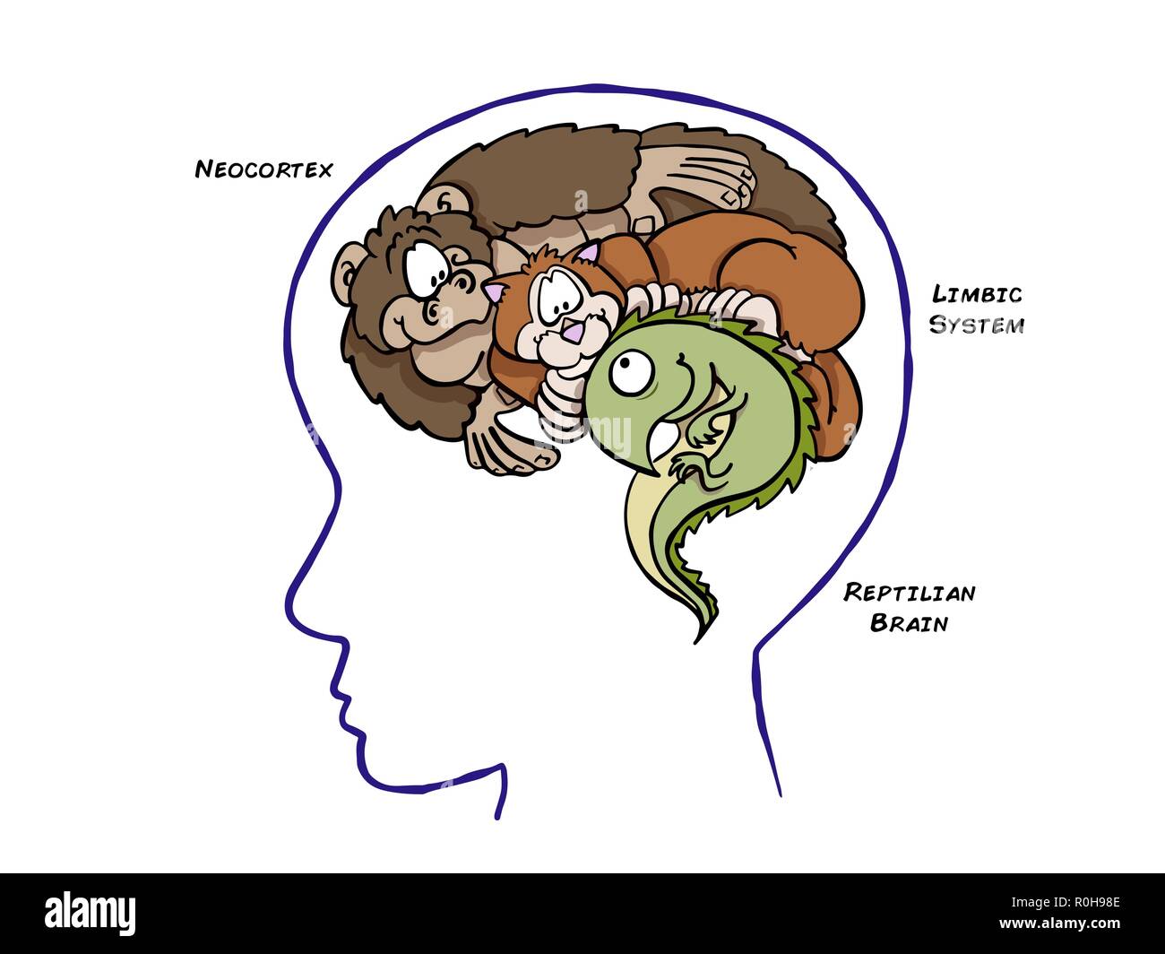 Uno e Trino Teoria del cervello Illustrazione Vettoriale