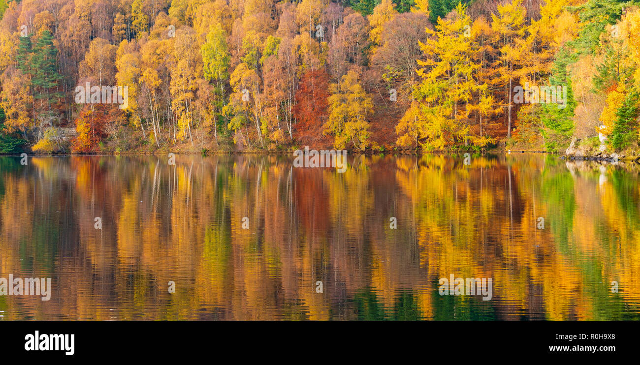 Spettacolare il tardo autunno colori ad albero sono riflesse nelle acque di Loch Faskally in Pitlochry, Perthshire, Scotland, Regno Unito. Foto Stock
