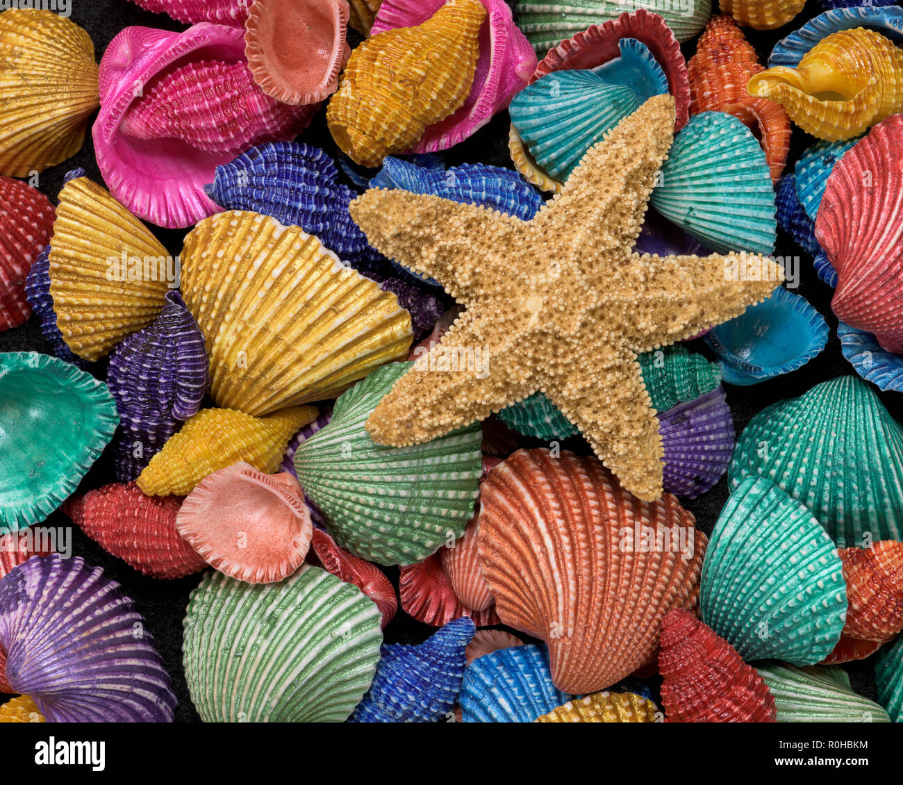 Starfish su una pila di colorate conchiglie Foto Stock