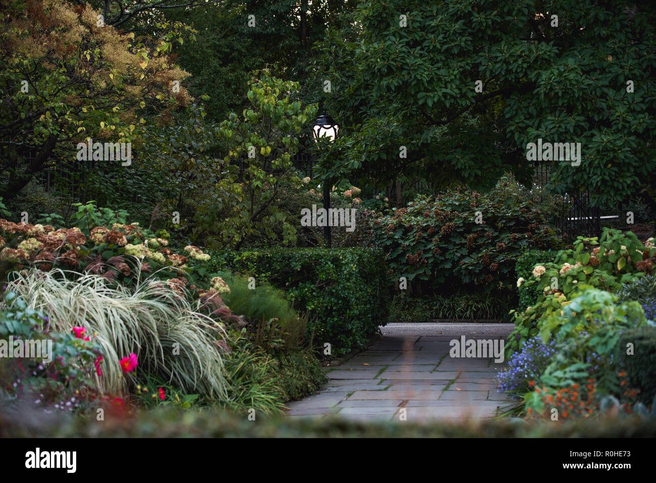 Autunno vedute del giardino nel Central Park di New York City. Foto Stock