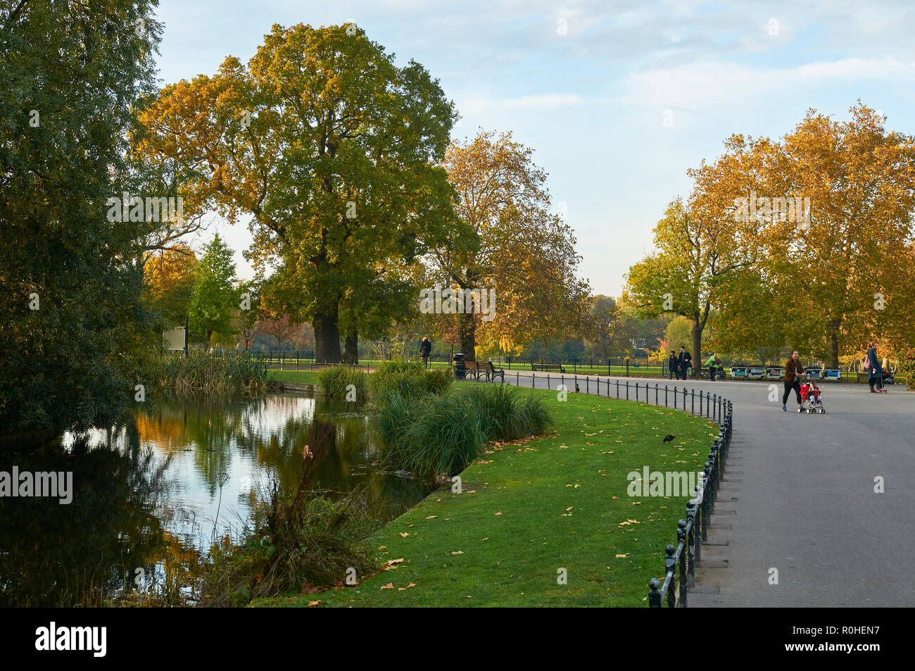 Il sentiero dalla nuova nel fiume Clissold Park, vicino casa Clissold, Stoke Newington, North London REGNO UNITO, su un mite autunno del giorno nel mese di novembre 2018 Foto Stock