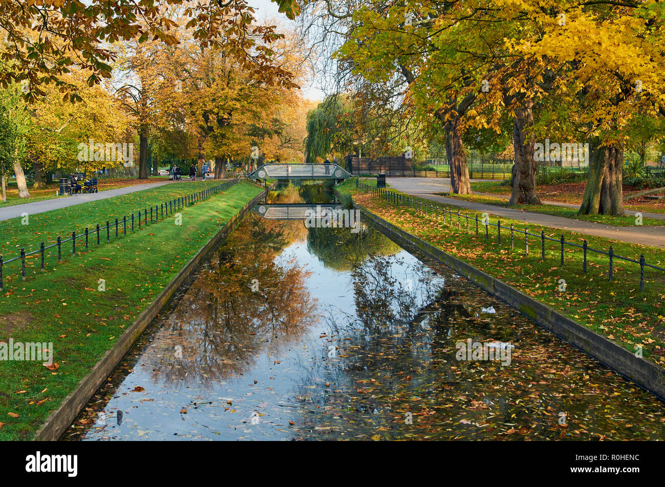 Il nuovo River in Clissold Park, Stoke Newington, Londra UK, in una calda giornata d'autunno nel novembre 2018 Foto Stock