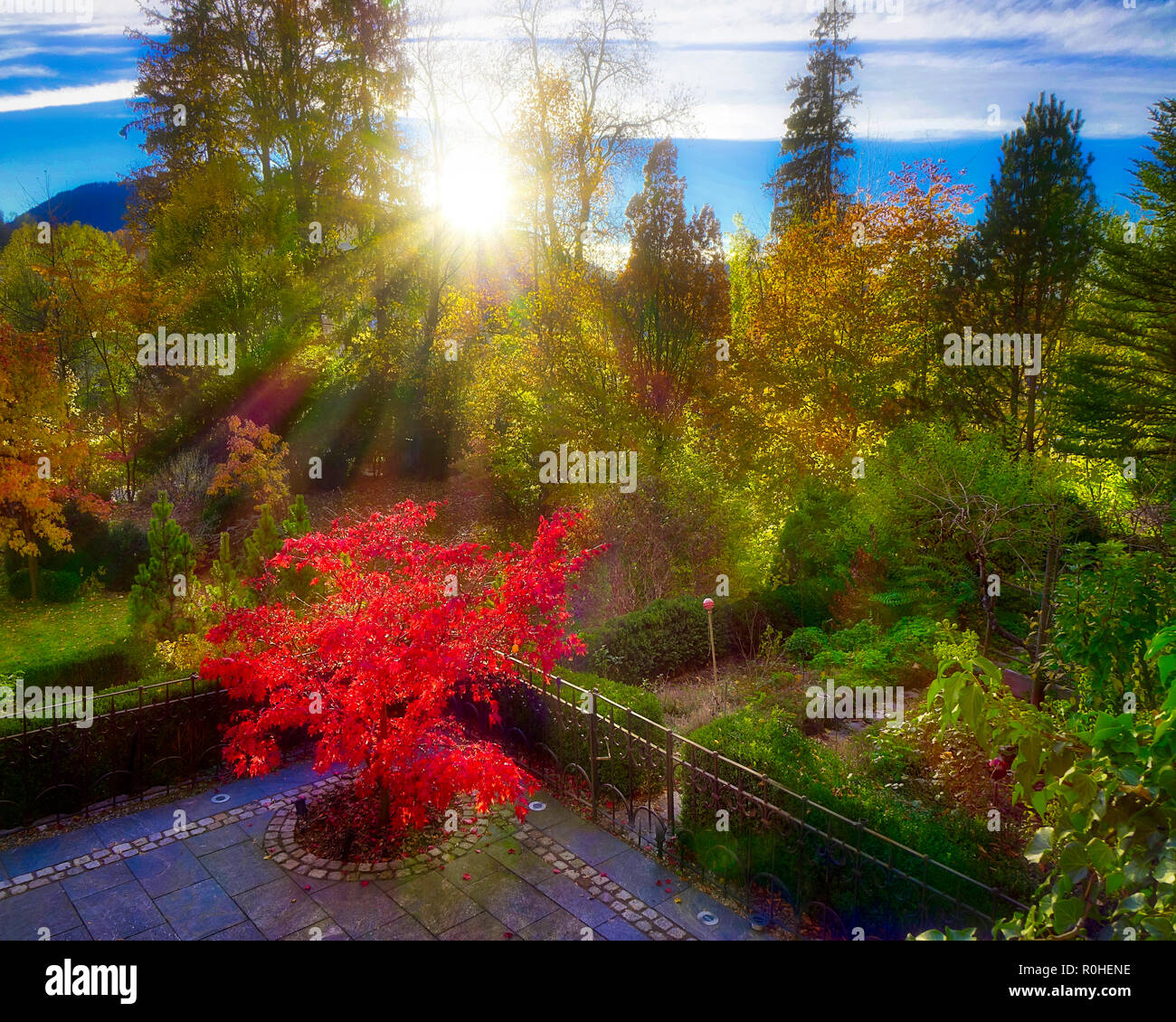 DE - Baviera: giardino privato a Bad Toelz con Blomberg in background (HDR-immagine) Foto Stock