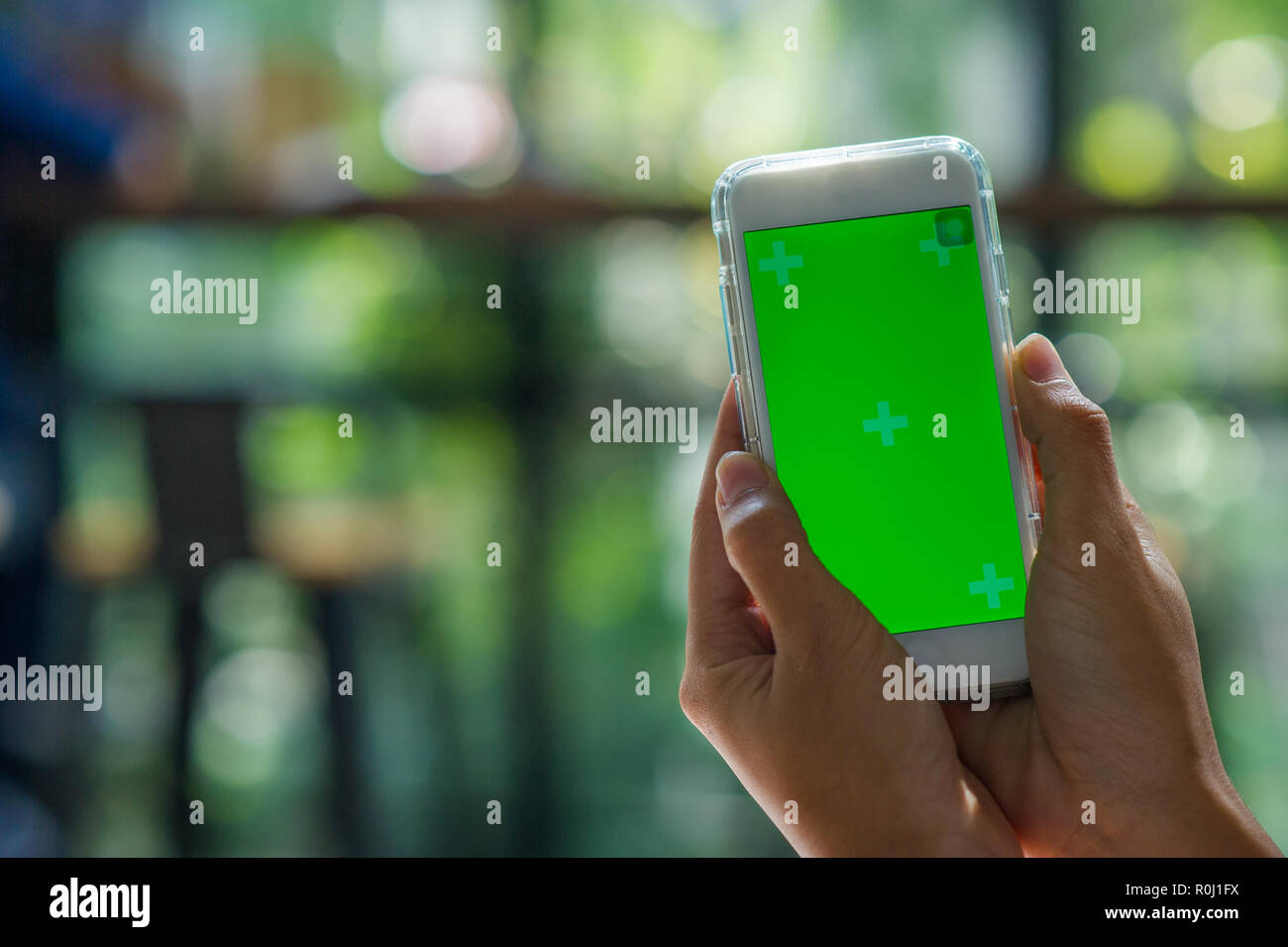 La vista ritagliata della donna mano azienda uno smart phone con una schermata vuota per il testo dello spazio del messaggio o il contenuto del messaggio di testo di lettura su un mobile p Foto Stock