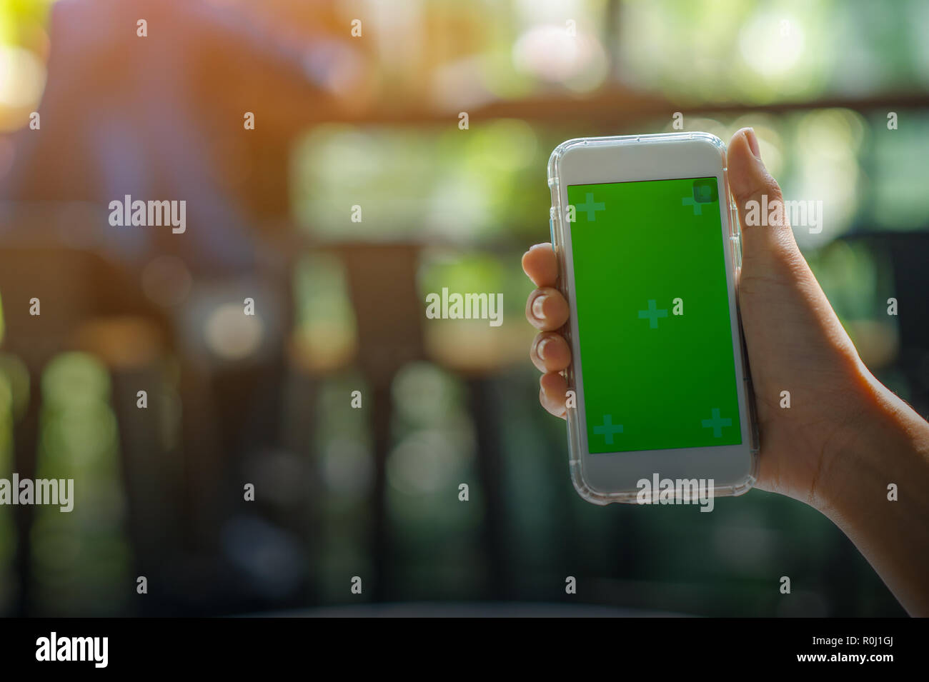 La vista ritagliata della donna mano azienda uno smart phone con una schermata vuota per il testo dello spazio del messaggio o il contenuto del messaggio di testo di lettura su un mobile p Foto Stock