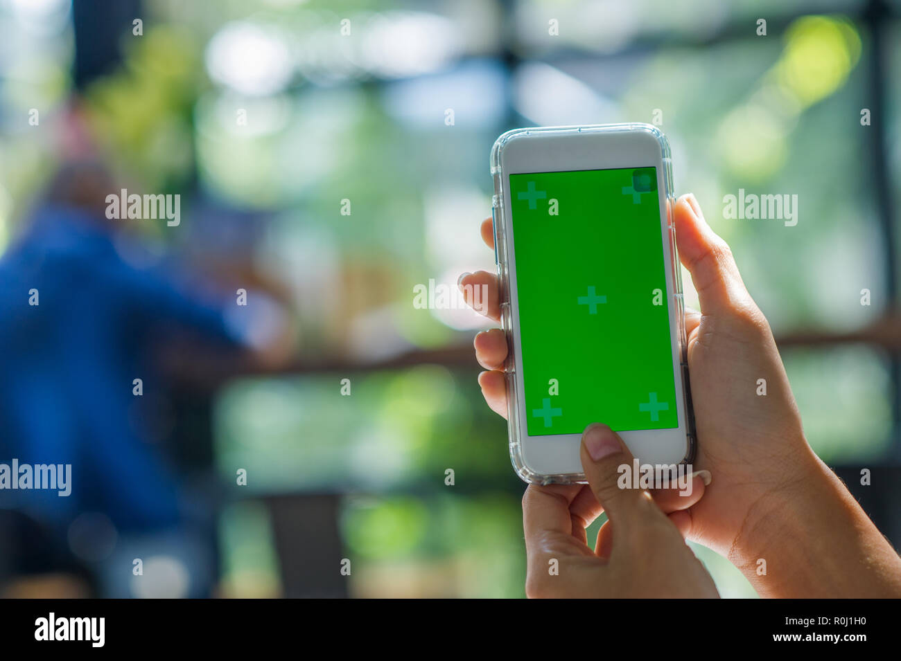 La vista ritagliata della donna mano azienda uno smart phone con una schermata vuota per il testo dello spazio del messaggio o il contenuto del messaggio di testo di lettura su un mobile p Foto Stock