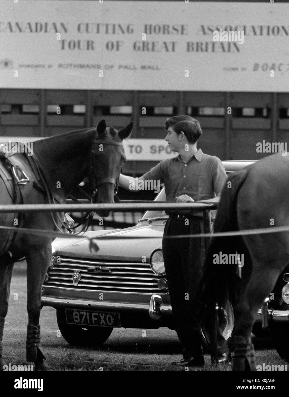 Il principe Charles - che ha recentemente recuperato dalla polmonite in un Aberdeen nursing home - con uno o il polo pony a Smith Prato, Windsor Great Park, dove avevano guardato il Duca di Edimburgo giocare per Windsor Park in una Bank Holiday partita di polo. Foto Stock