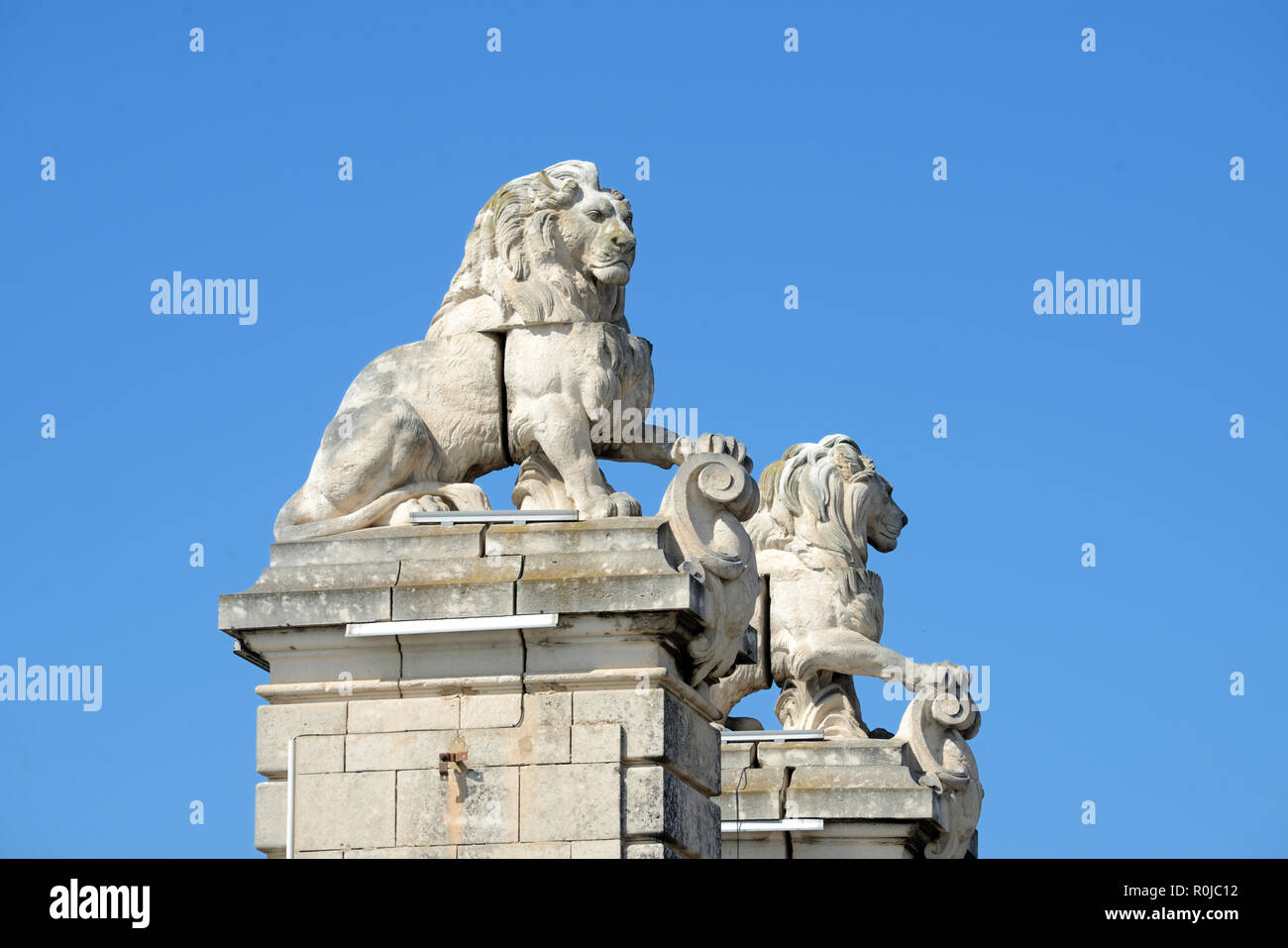 Leoni scolpiti nella pietra in cima a colonne o ex sospensione ponte attraverso il Fiume Rodano ad Arles Provence Francia Foto Stock