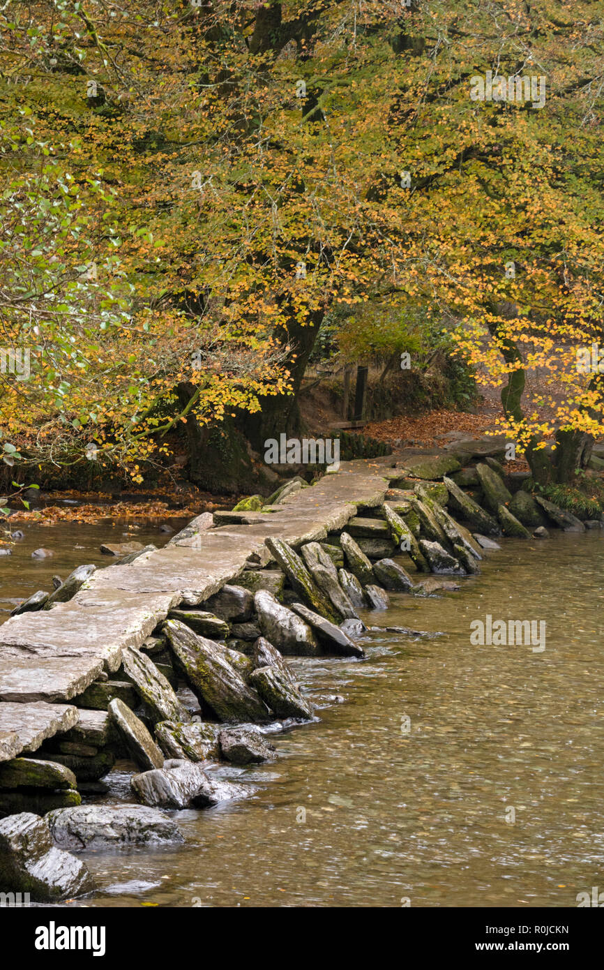 Autunno a Tarr passi ed è 17 span clapper bridge, Parco Nazionale di Exmoor, Somerset, Inghilterra, Regno Unito Foto Stock