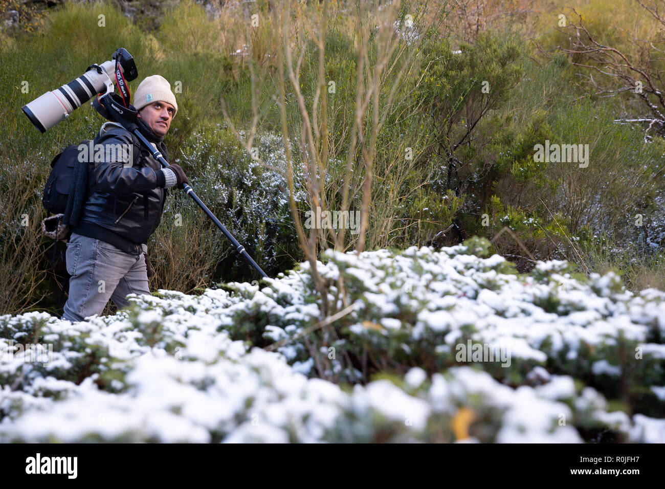 Natura Wildlife fotografo professionista che porta una Canon EOS 5D Mark IV e 200-400mm f4 super teleobiettivo con zoom sulla sua spalla all'esterno Foto Stock