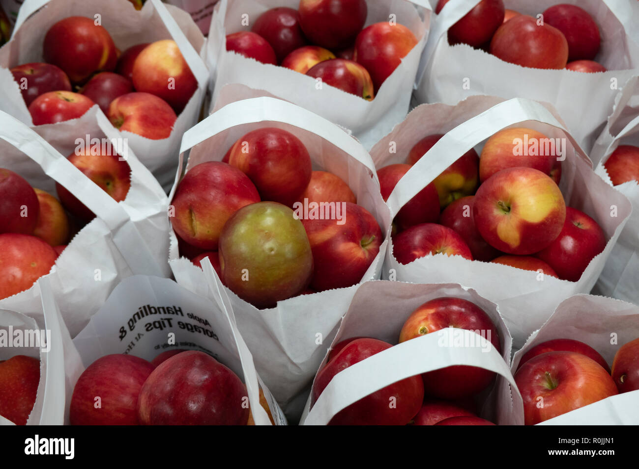 Un display di sacchetti di materie fresche Mele in un piccolo negozio di alimentari in speculatore, NY USA Foto Stock