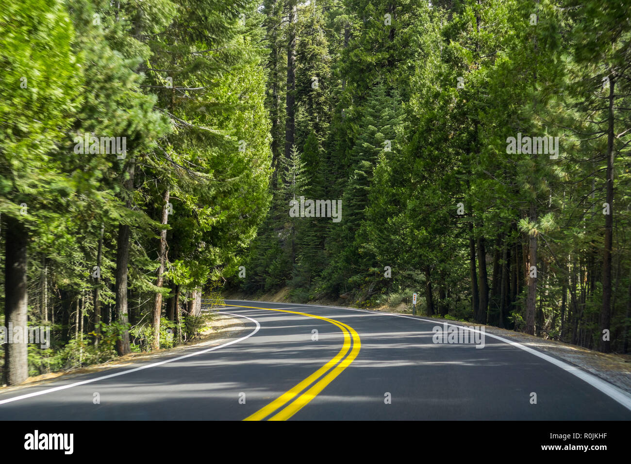 Guida attraverso la Sierra Mountains verso Sonora Pass, California Foto Stock