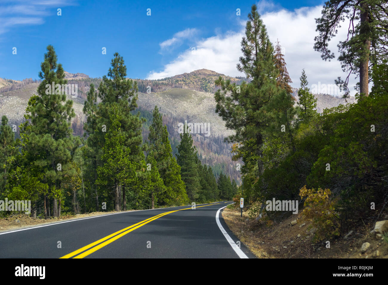 Guida attraverso la Sierra Mountains verso Sonora Pass, California Foto Stock