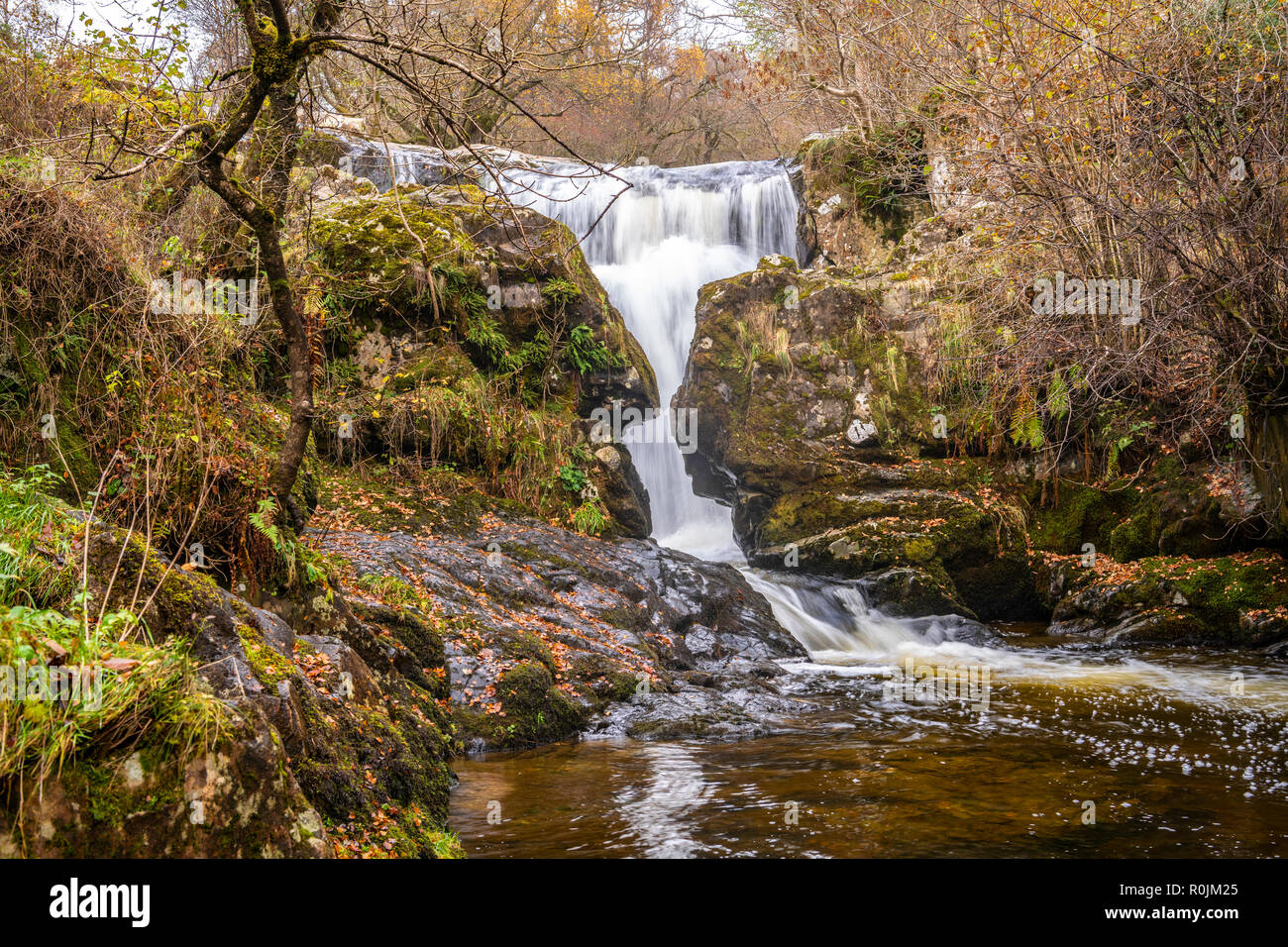 Cascata Aira Beck, Lake District, Cumbria, Inghilterra Foto Stock