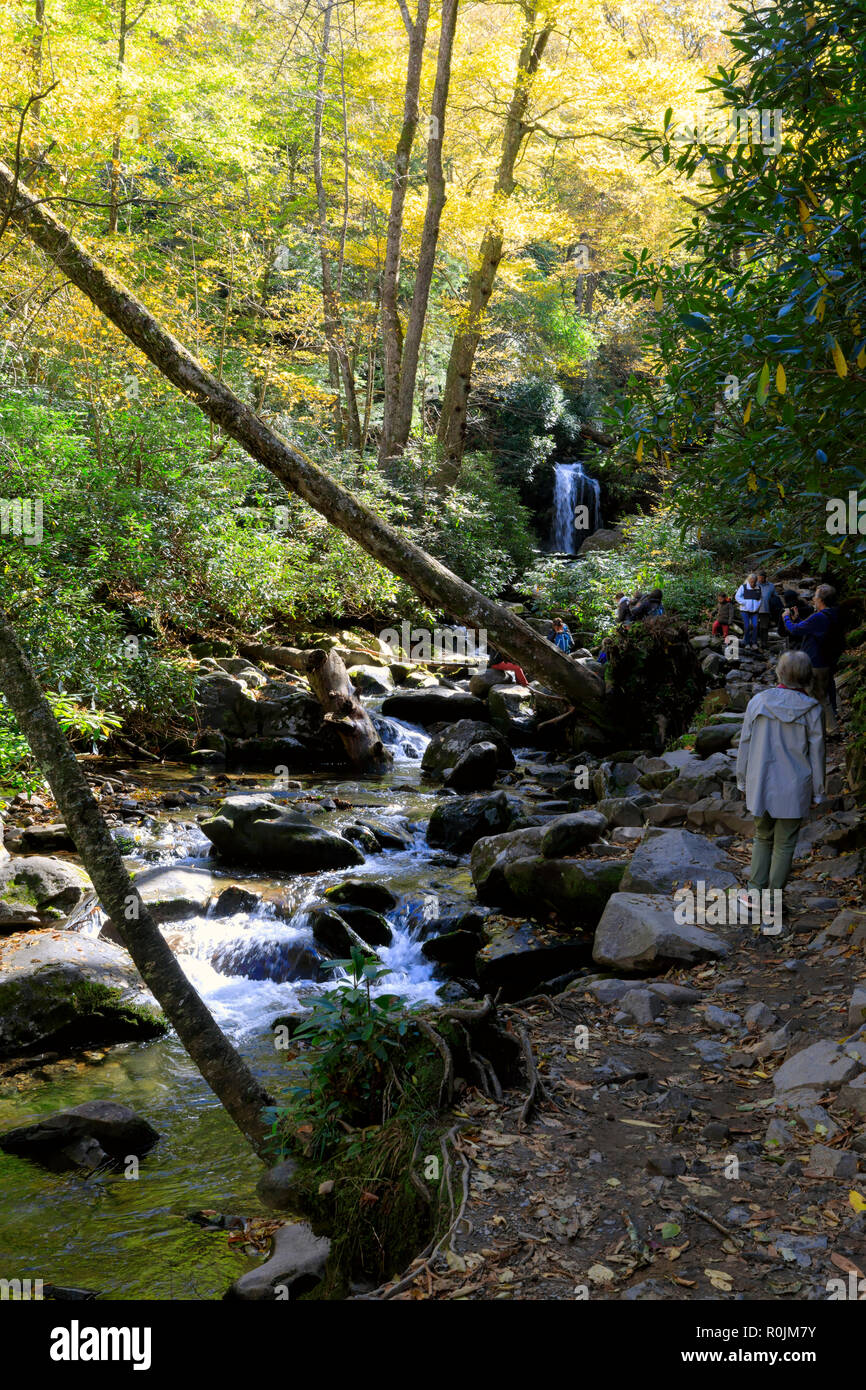 Trillium Gap Trail, Smoky Mountains National Park. I visitatori si segue il sentiero per visitare la grotta scende. Foto Stock