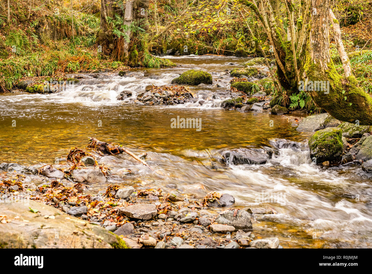 Aira Beck, Lake District, Inghilterra Foto Stock