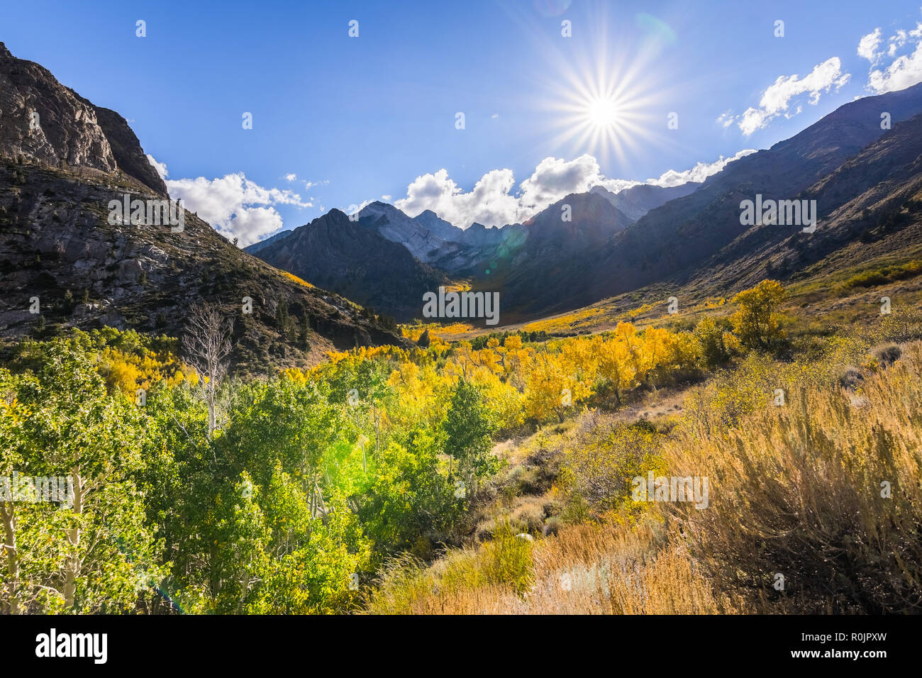 I colori dell'autunno a copertura McGee Creek Valley in Sierra orientale montagne, California Foto Stock