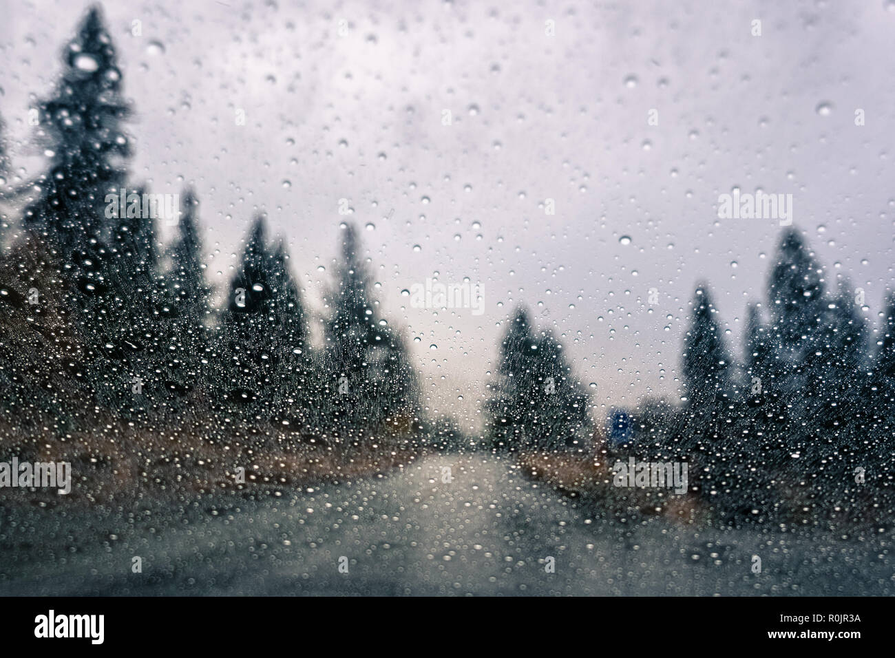 Gocce di pioggia sulla finestra; autostrada sfocata e alberi in background; profondità di campo Foto Stock