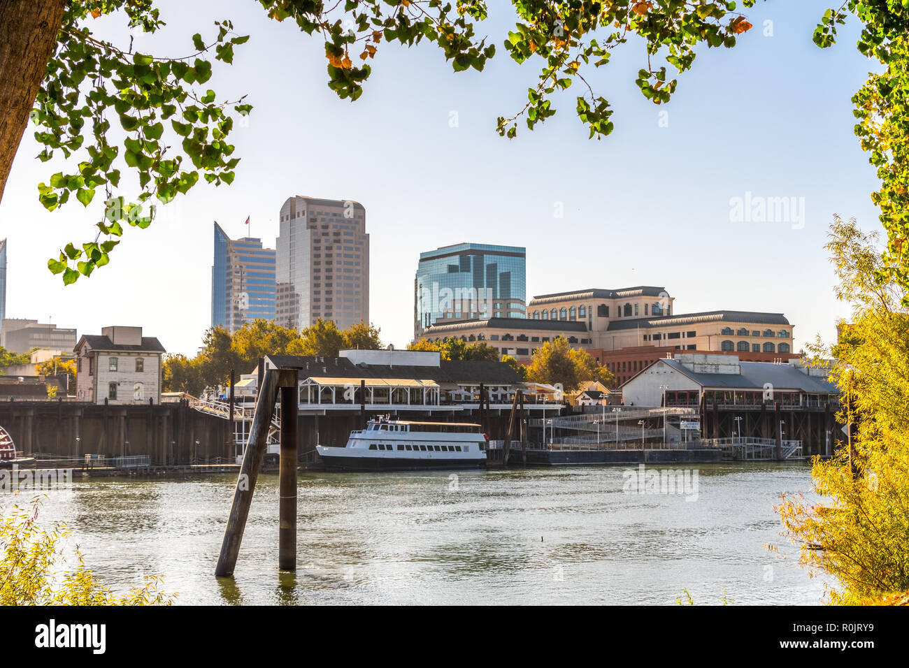 Sacramento lo skyline di waterfront e incorniciata da rami di albero, come si vede dalle rive del fiume Sacramento di una mattina di sole; California Foto Stock