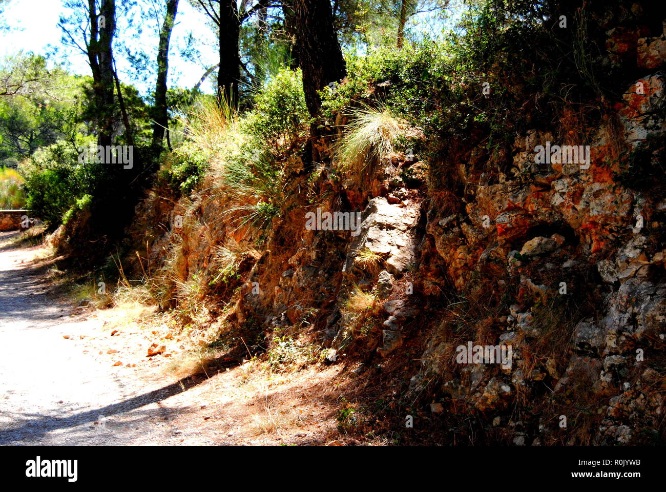 Paesaggio di Tolone, Francia. Paesaggio mediterraneo. Foto Stock