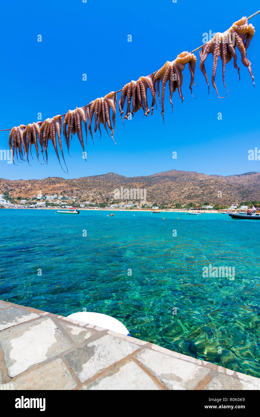 Greco tradizionale cibo di mare, polpo, essiccazione al sole, Milopotas, dell'isola di Ios, Cicladi Grecia Foto Stock