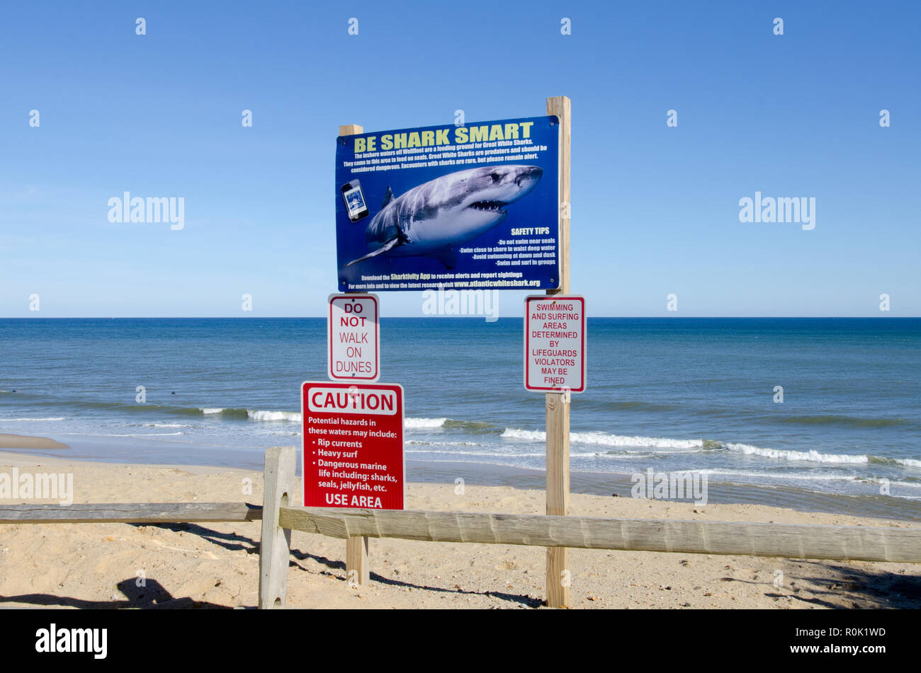 Shark cartelli di avvertimento sul Cape Cod National Seashore pubblicato dopo il grande squalo bianco attacca in corrispondenza LeCount Spiaggia Cava in Sud Wellfleet Massachusetts Foto Stock