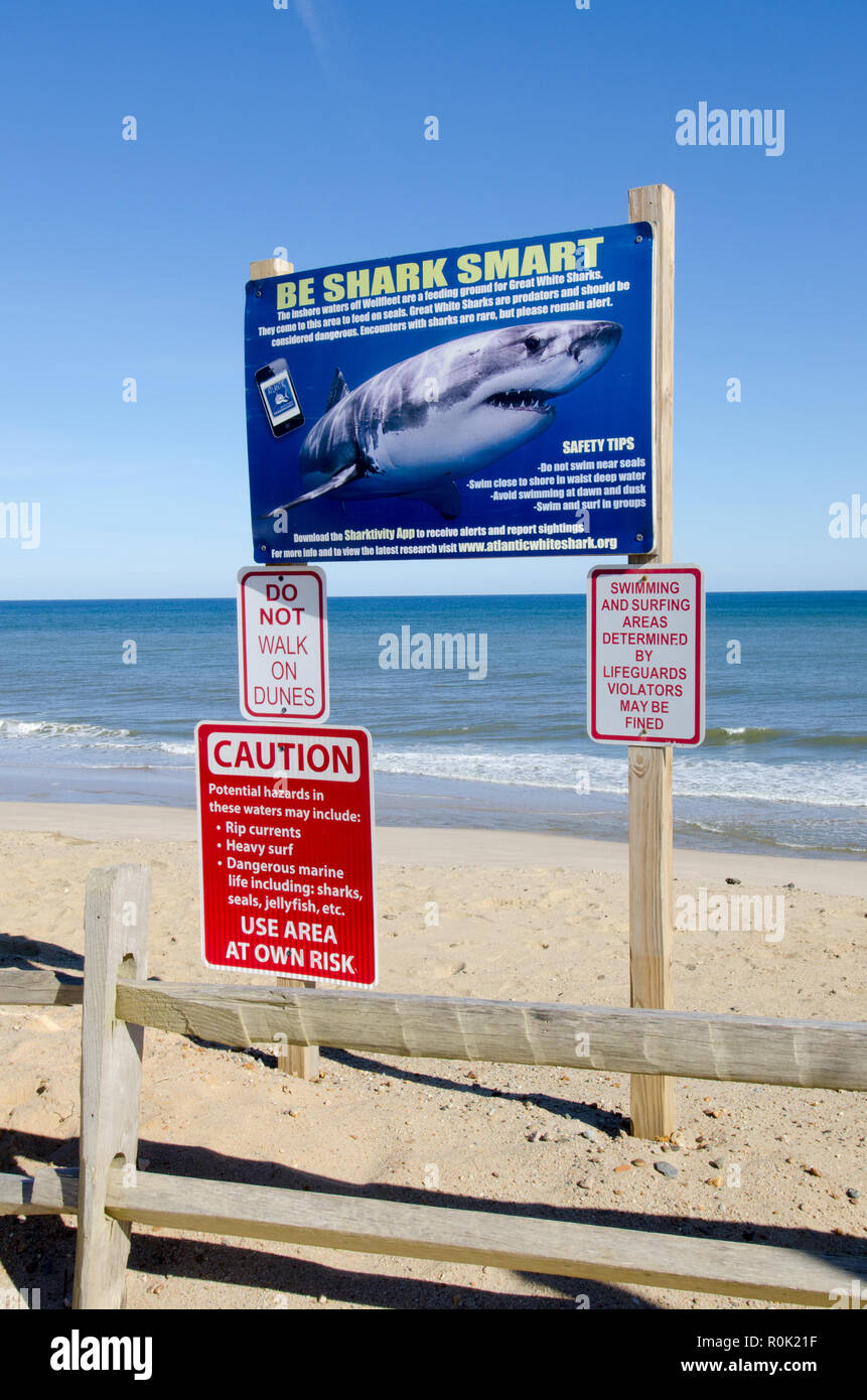 Shark cartelli di avvertimento sul Cape Cod National Seashore pubblicato dopo il grande squalo bianco attacca in corrispondenza LeCount Spiaggia Cava in Sud Wellfleet Massachusetts Foto Stock
