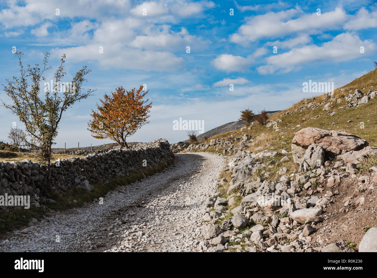 Remote strada rurale attraverso pascoli tradizionali fattorie in Bosnia. Foto Stock