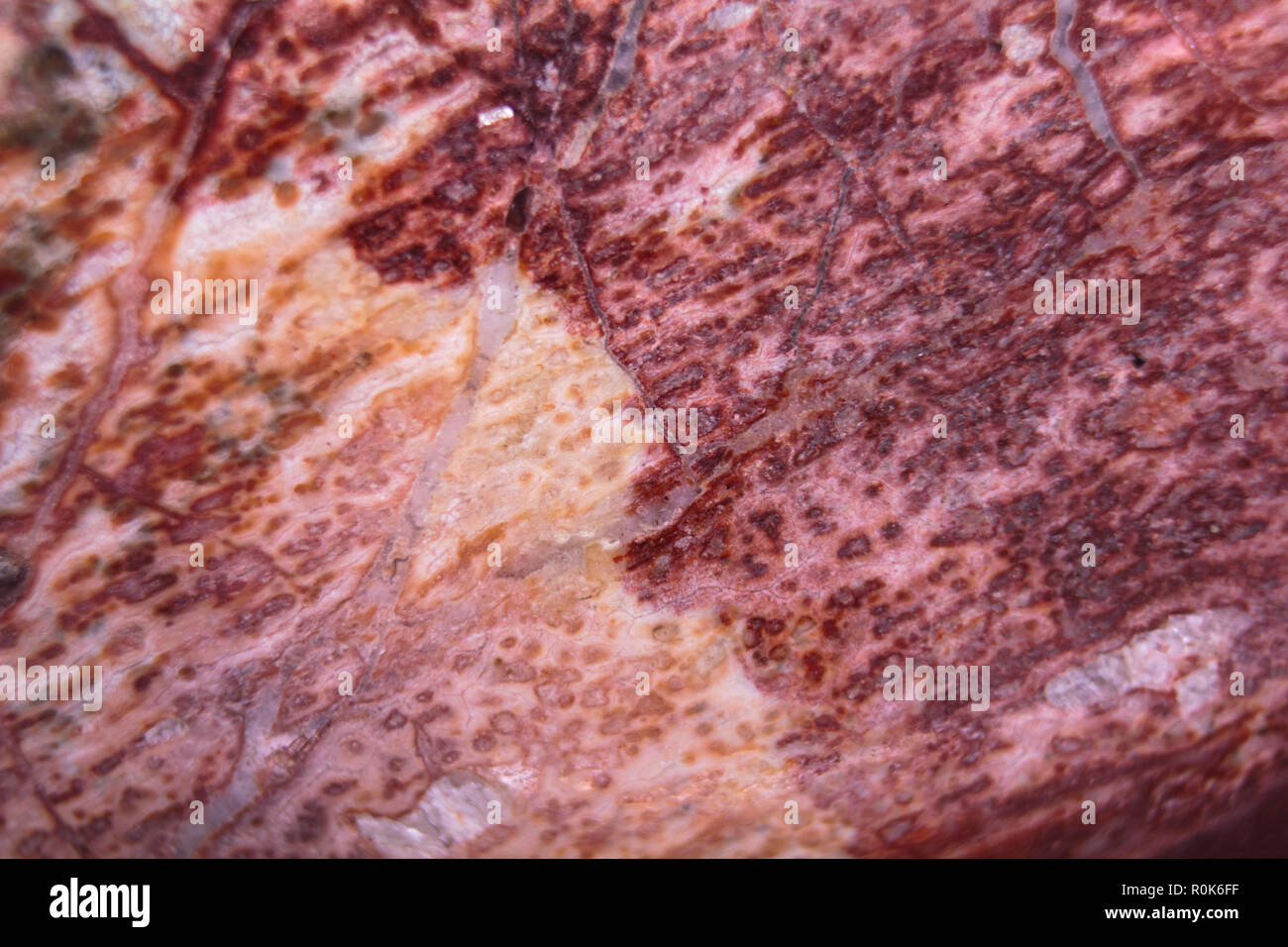A pelle di leopardo sfondo Jasper Foto Stock