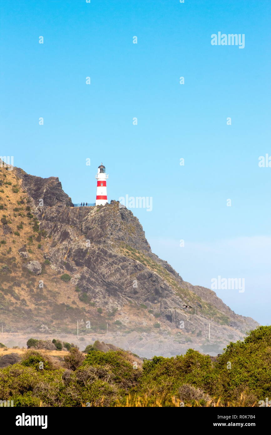 Cape Palliser faro, Nuova Zelanda Foto Stock