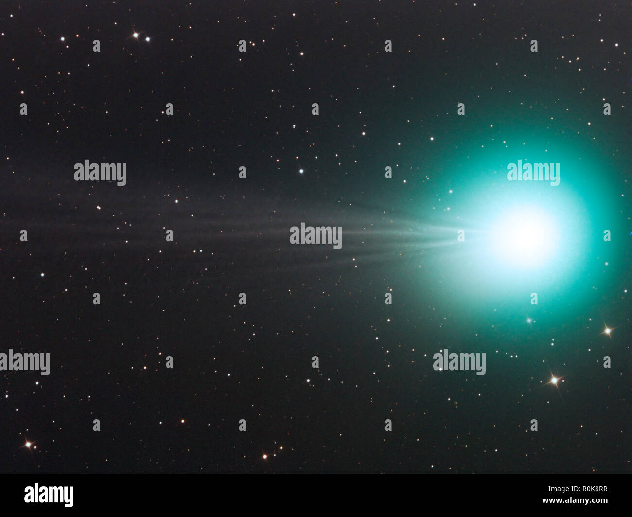 Cometa Lovejoy Foto Stock
