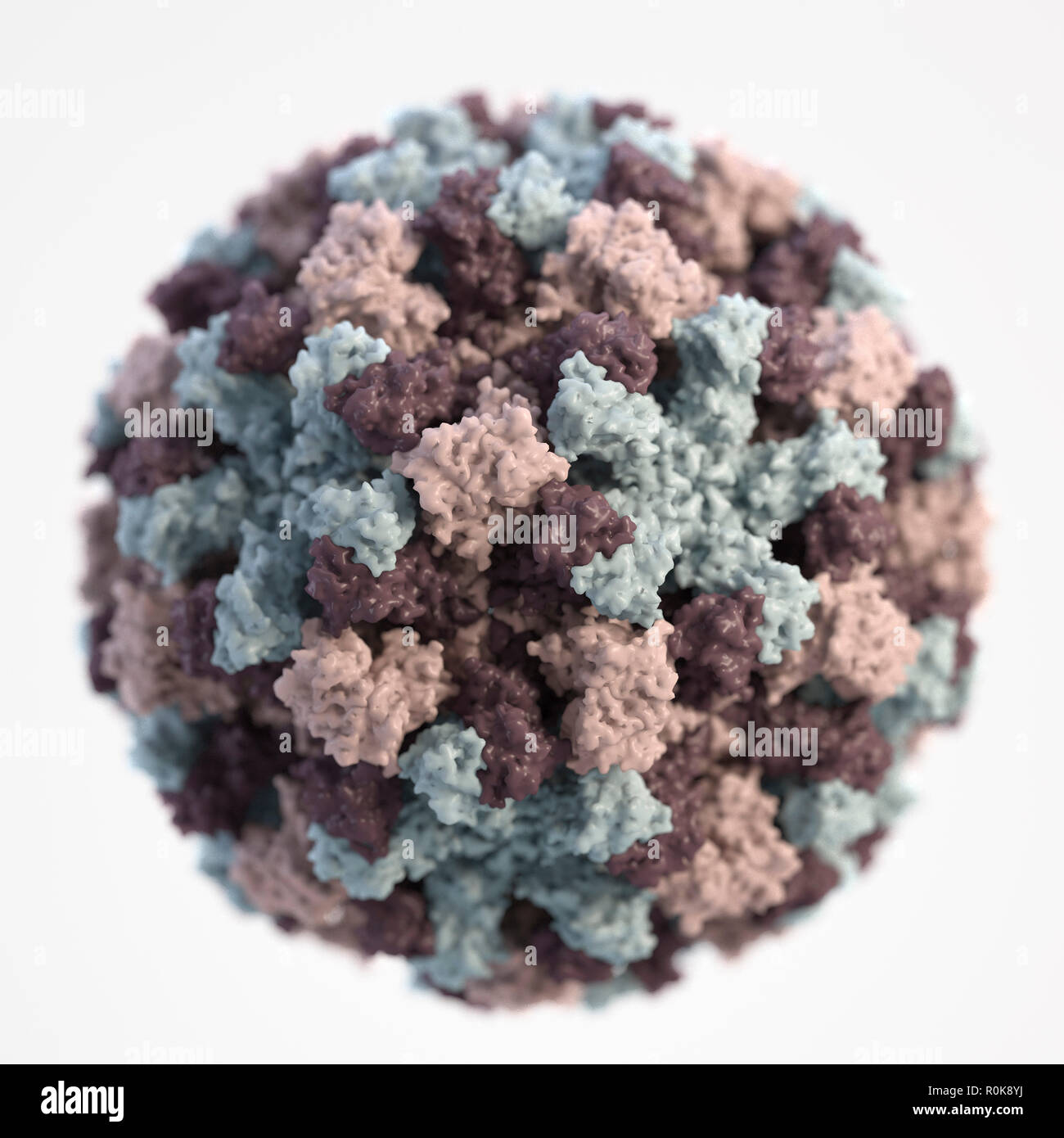 Un 3D rappresentazione grafica di un singolo Norovirus. Foto Stock