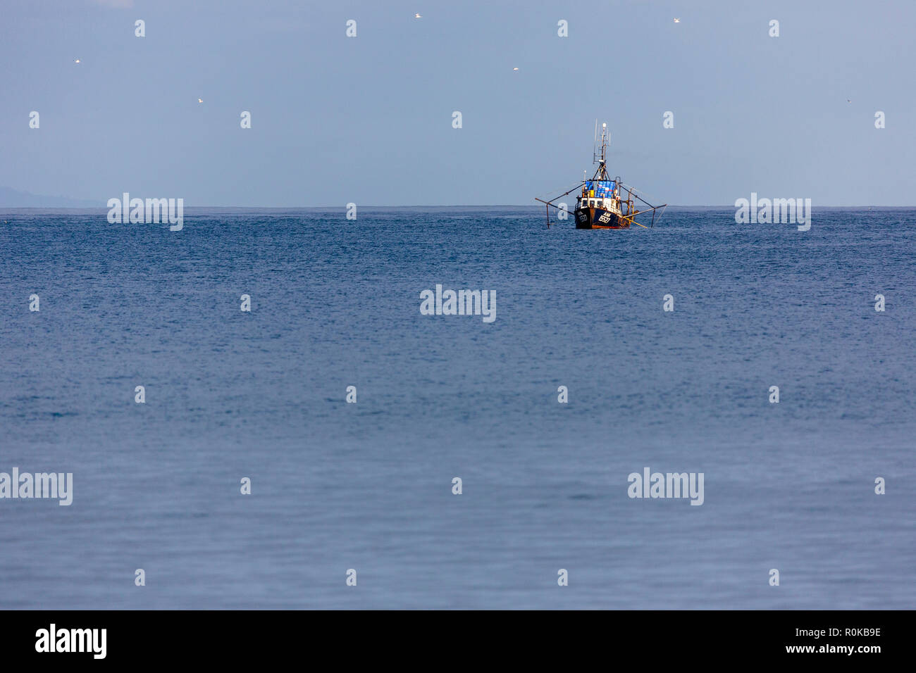 Fisherboat sul Golfo di Hauraki, Nuova Zelanda Foto Stock