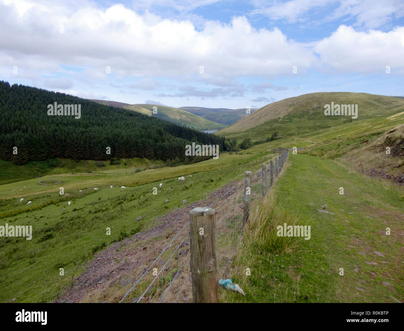 Capitano della strada, parte della Southern Upland Way, Thirlestane, i confini della contea, Scozia, Regno Unito in agosto dipinge Riskinhope Rig & Nether Hill Foto Stock