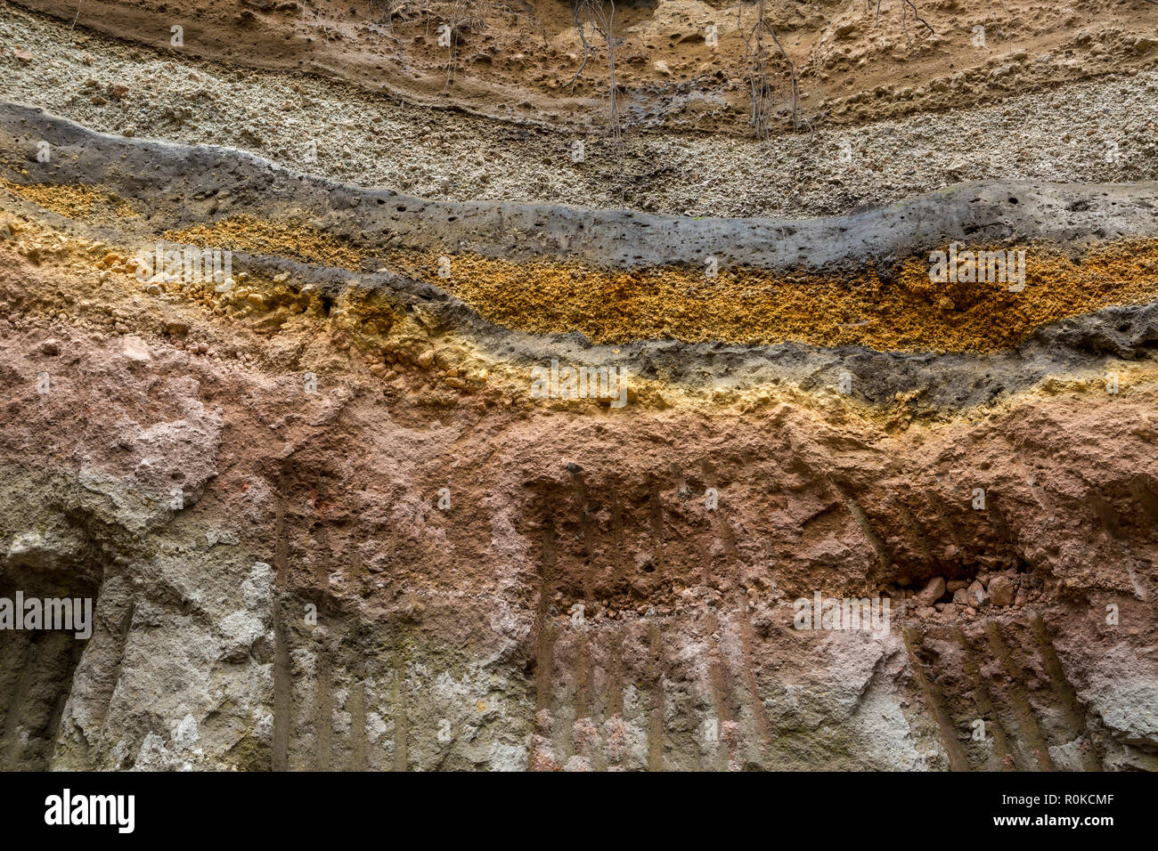 Strati misti di sedimenti di origine vulcanica, Iztaccihuatl Popocatepetl National Park, Messico, America del Nord Foto Stock