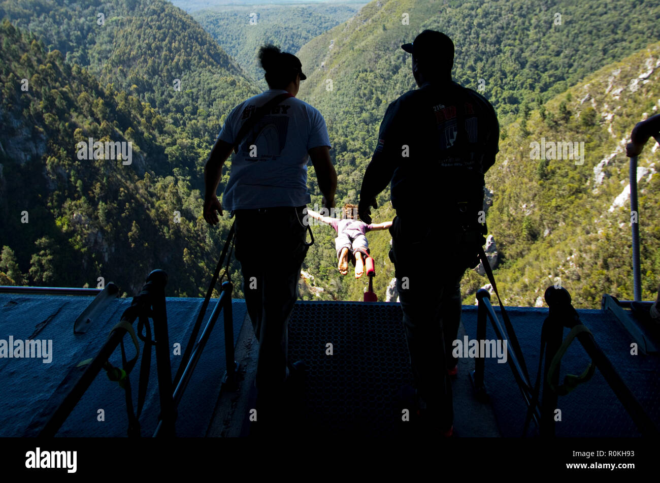 Bungee Jumping a Bloukrans Foto Stock