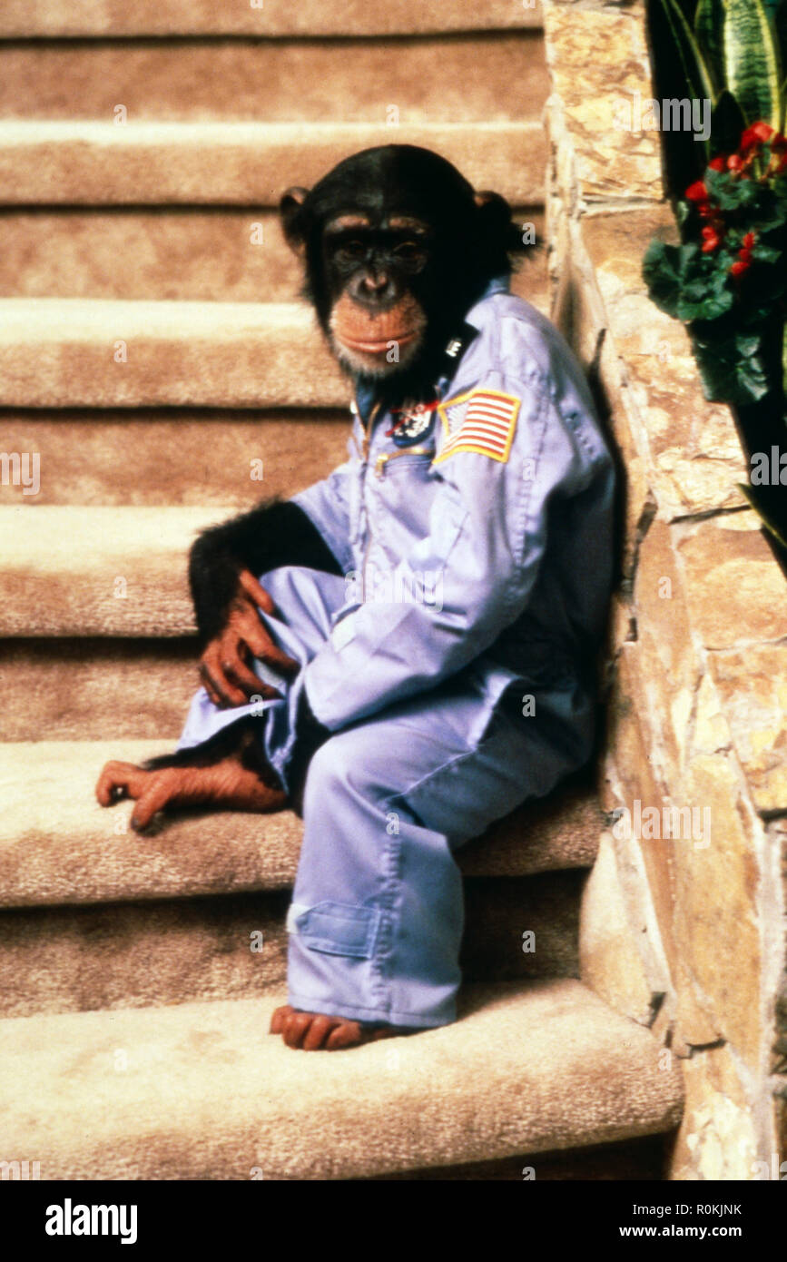 Hero nella famiglia, aka: Auf der Suche nach dem geheimnisvollen Kristall, Fernsehfilm, USA 1986, Regie: Mel Damski, Darsteller: Schimpanse Mike Foto Stock