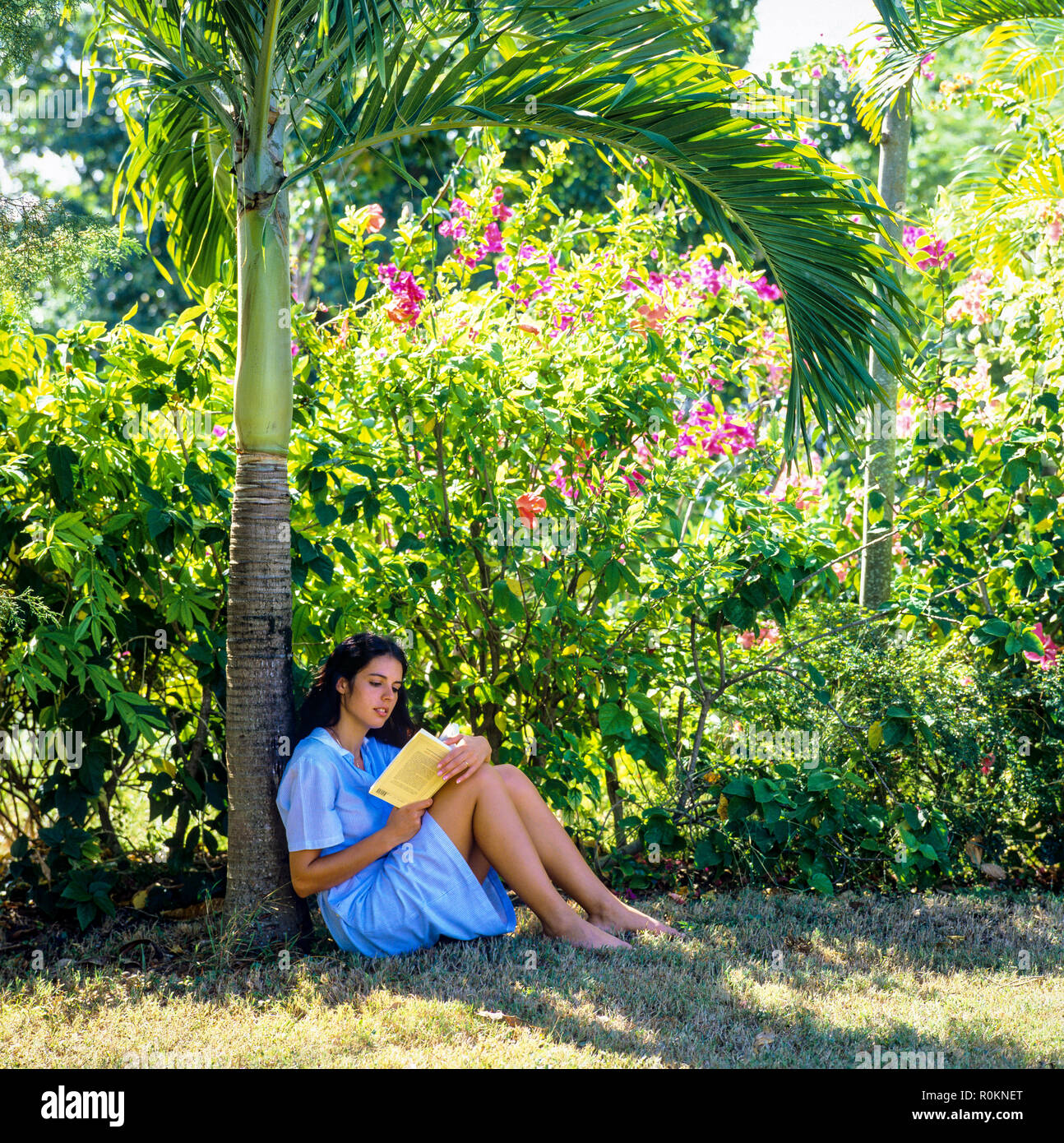 Giovane donna seduta in un giardino tropicale e la lettura di un libro, Guadalupa, French West Indies, Foto Stock