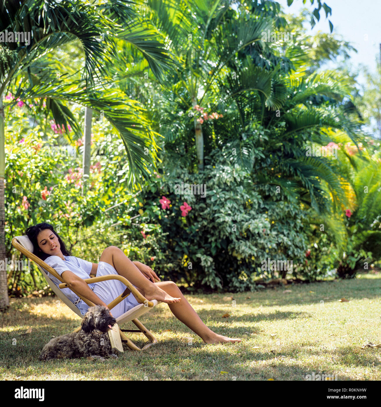 Giovane donna seduta in sedia a sdraio e coccolare il suo cane, giardino tropicale, Guadalupa, French West Indies, Foto Stock