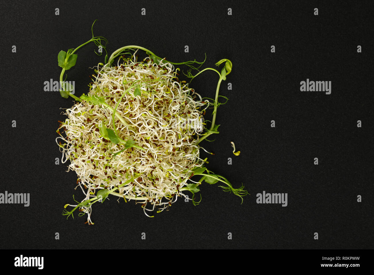 Close up freschi di nucleasi di fagiolo e pisello verde microgreen germogli di insalata sul bordo nero lo sfondo con spazio copia, elevati vista dall'alto, direttamente al di sopra di Foto Stock