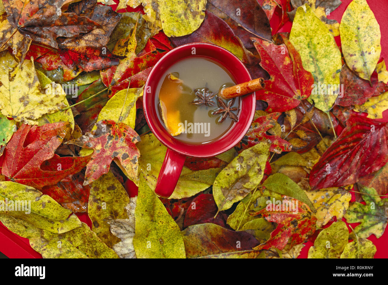 Rosso, giallo e arancione Foglie di autunno per lo sfondo. Foto Stock