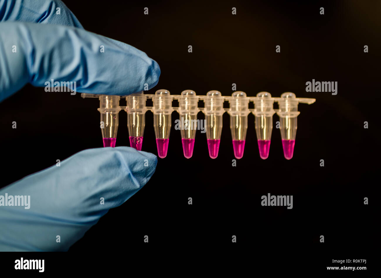 Provette per PCR con reagenti tenendo in mano contro lo sfondo nero Foto Stock
