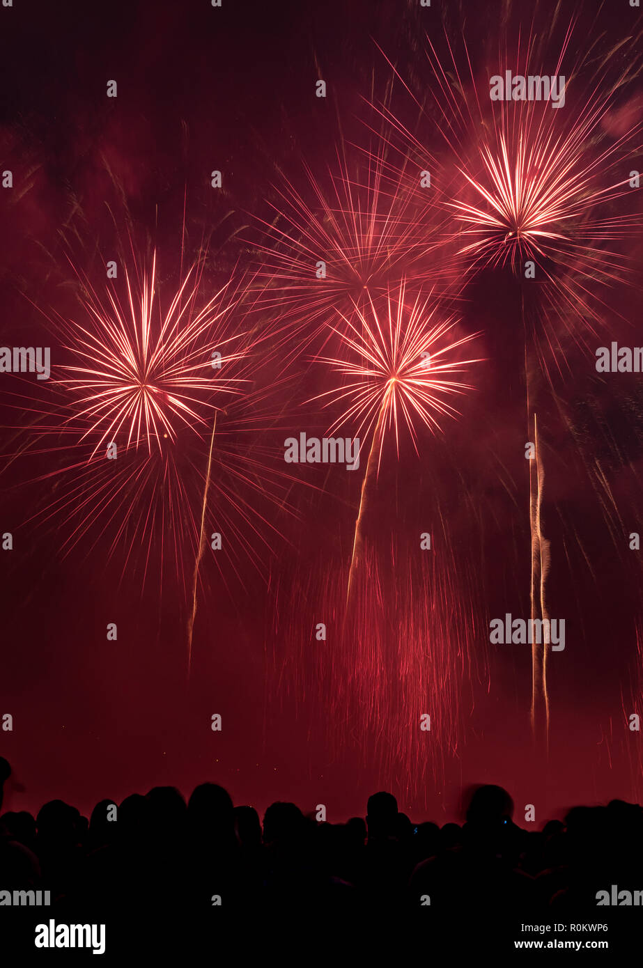 Le persone in piedi di fronte a fuochi d'artificio Foto Stock