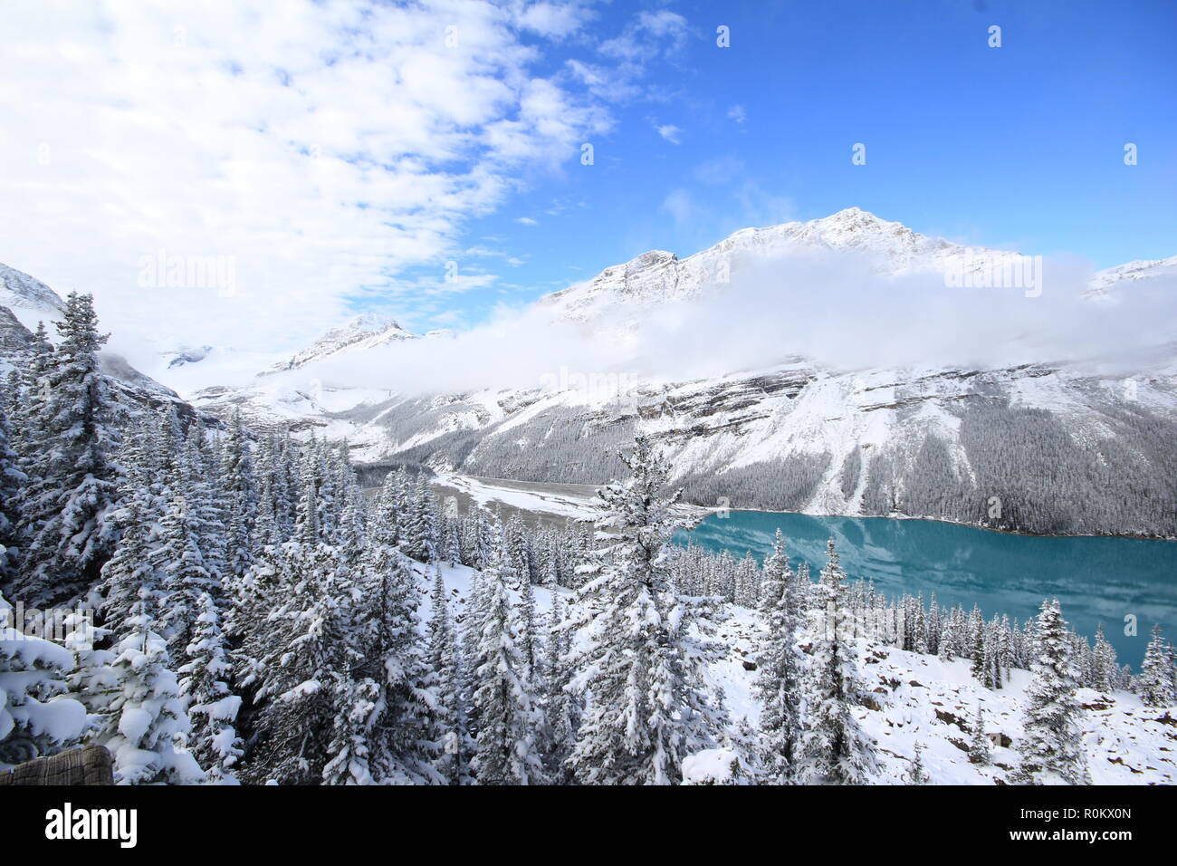 Spettacolare scena invernale presso il Lago Peyto nel Parco Nazionale di Banff, Canada, con le montagne e gli alberi coperti di neve. Immagine del tour popolare attrazione. Foto Stock