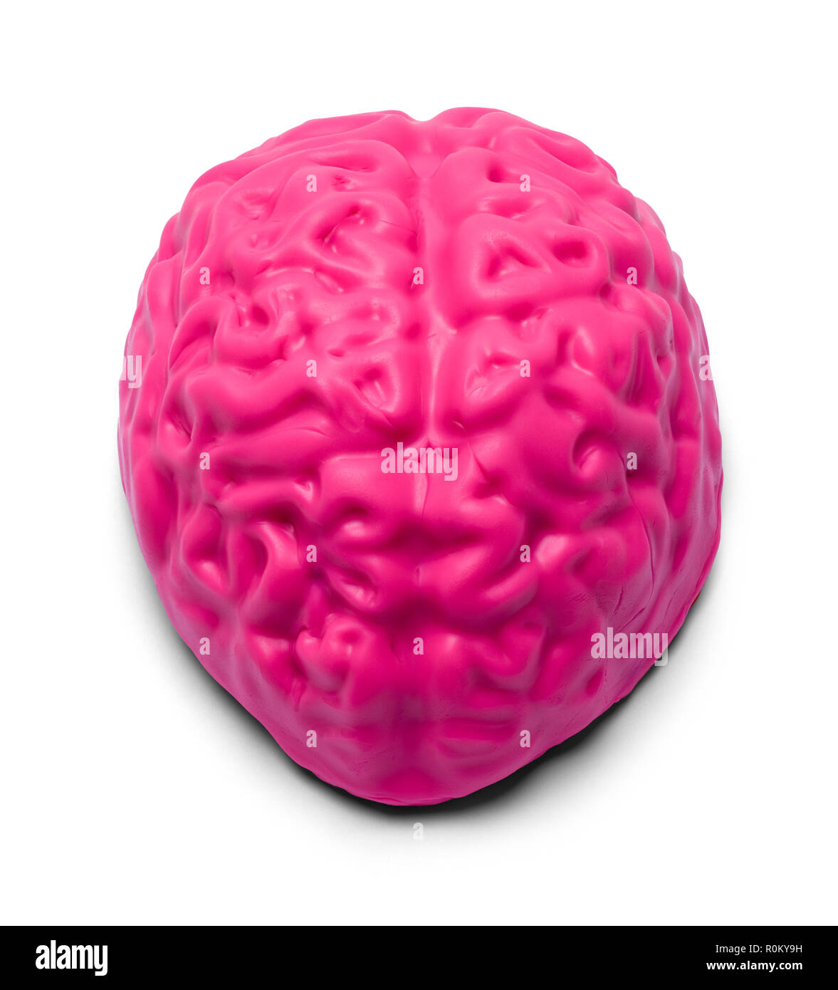 Impasto di colore rosa cervello umano isolato su sfondo bianco. Foto Stock
