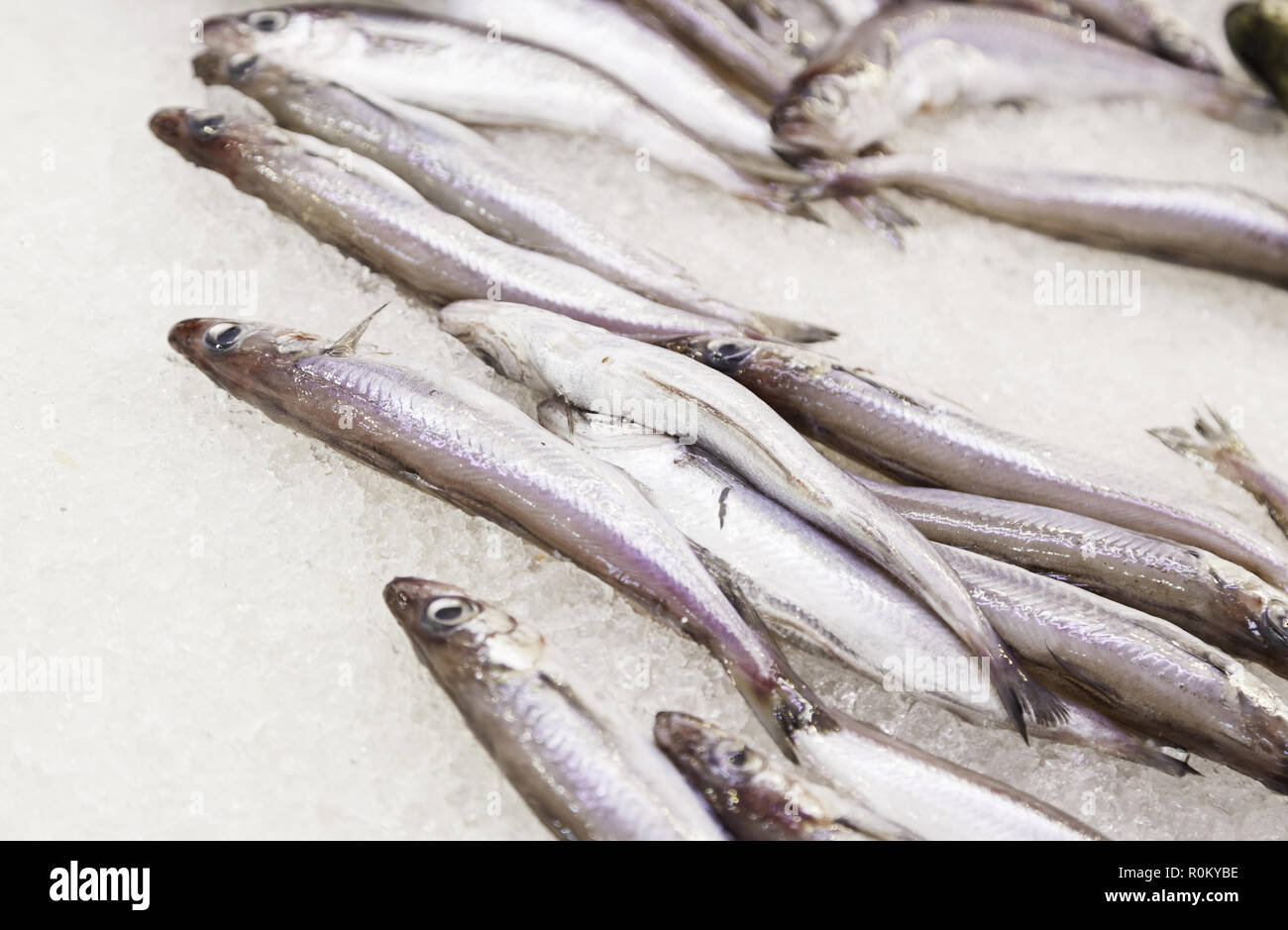 Sardine in un mercato del pesce, pesce fresco dettaglio su un pazzo, negozio di vendita del pesce Foto Stock